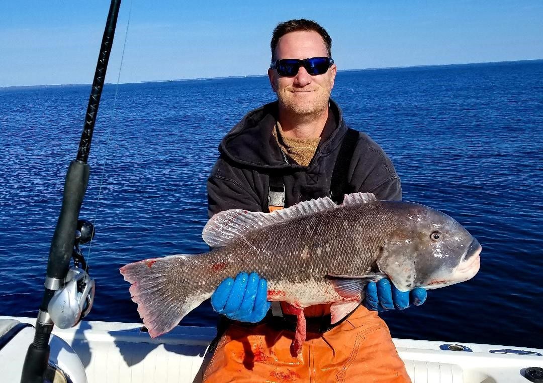 MONTI: Tautog Fishing Is As Good As It Gets | Local Sports ...