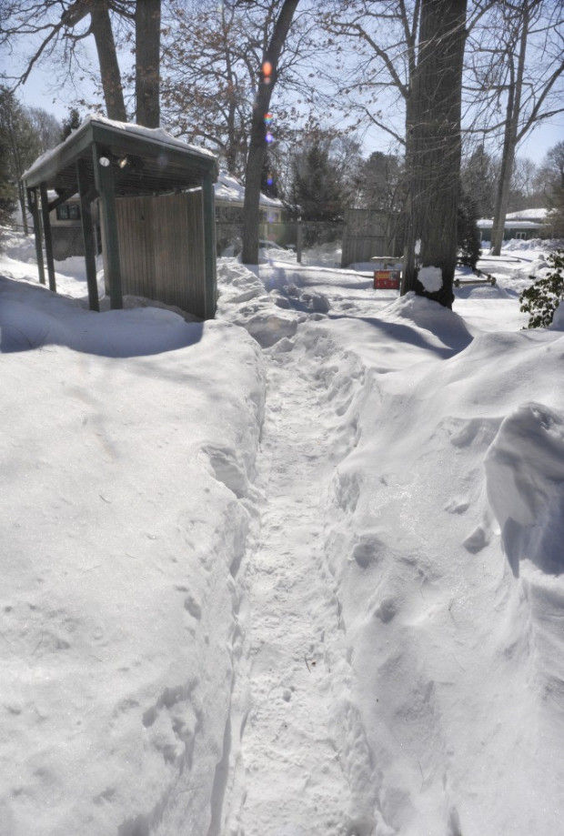 Snow, cold weather puts Capron Park Zoo on ice Local News