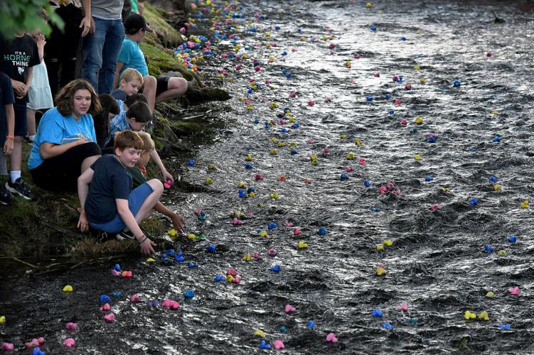 Mansfield's annual Great Duck Race Gallery