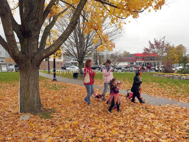 Mansfield Halloween Parade. Mansfield, MA Gallery