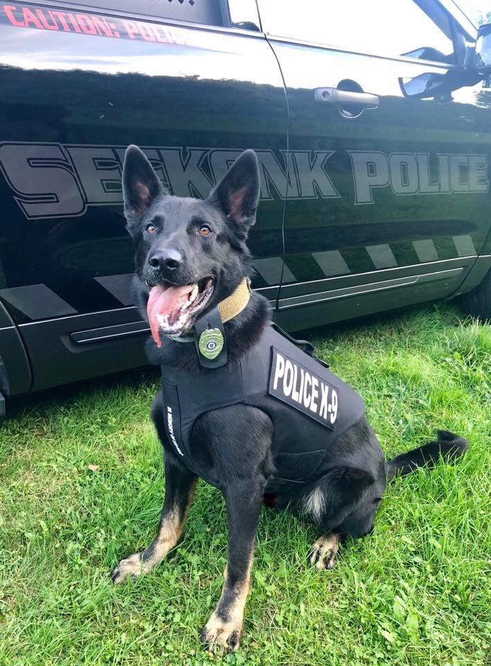 Seekonk police dog to get new protective vest | Local News ...