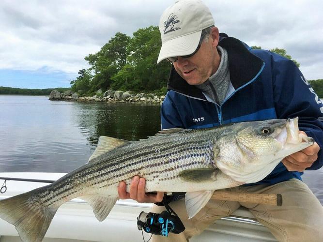 NO FLUKE: Striped bass, fluke and black sea bass rule in June