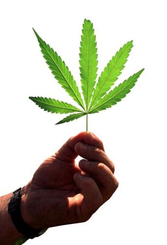pot