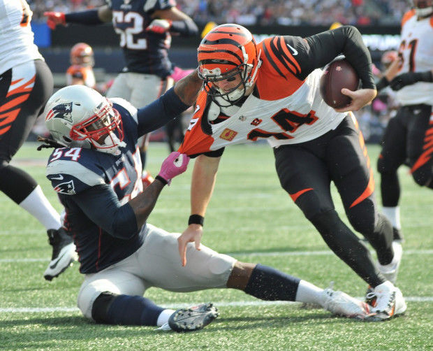 Patriots wake up to throttle Bengals 43-17