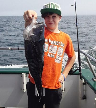 Monti Noaa Science Center Steps Up On Ocean Wind Issues Local Sports Thesunchronicle Com