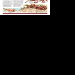 Page B8 | The Sun Chronicle | thesunchronicle.com
