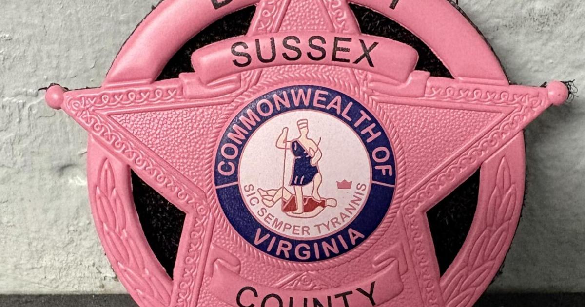 Local law enforcement provides protection with pink badges