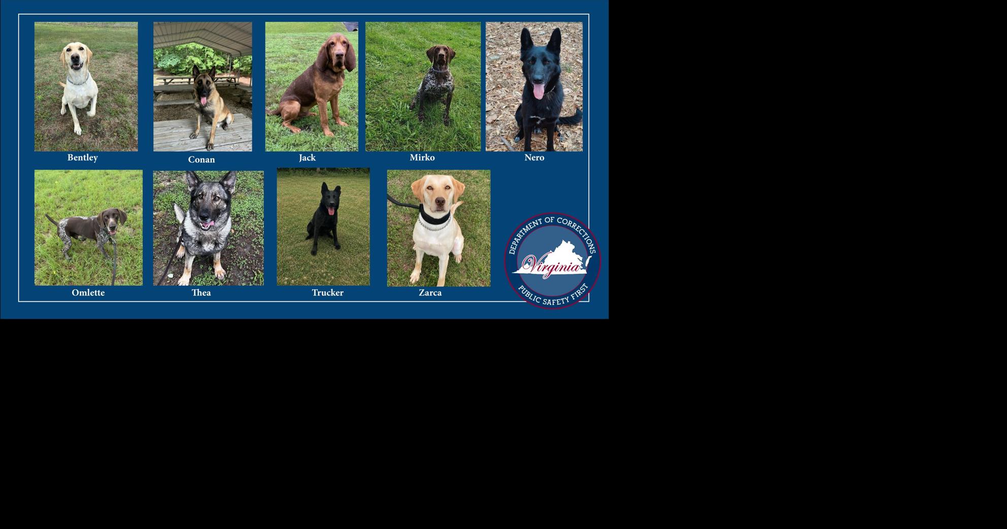 Virginia Department of Corrections K9s Bentley, Conan, Jack, Mirko, Nero, Omlette, Thea, Trucker, and Zarca to get donation of body armor