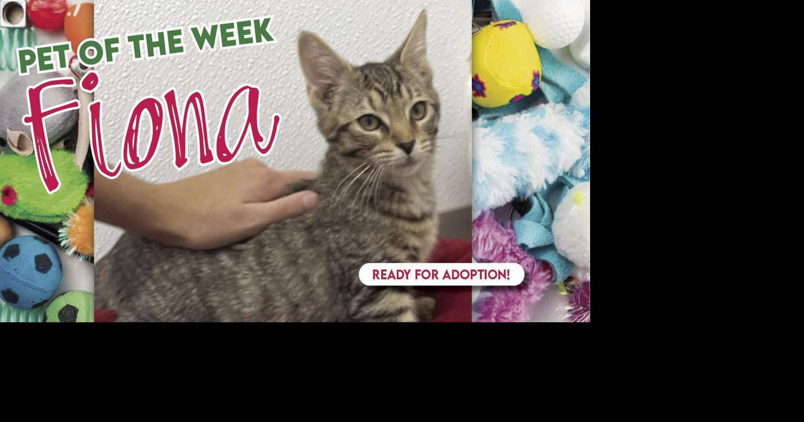 Pet of the Week News