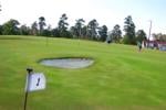 Palmetto Putting Traverse