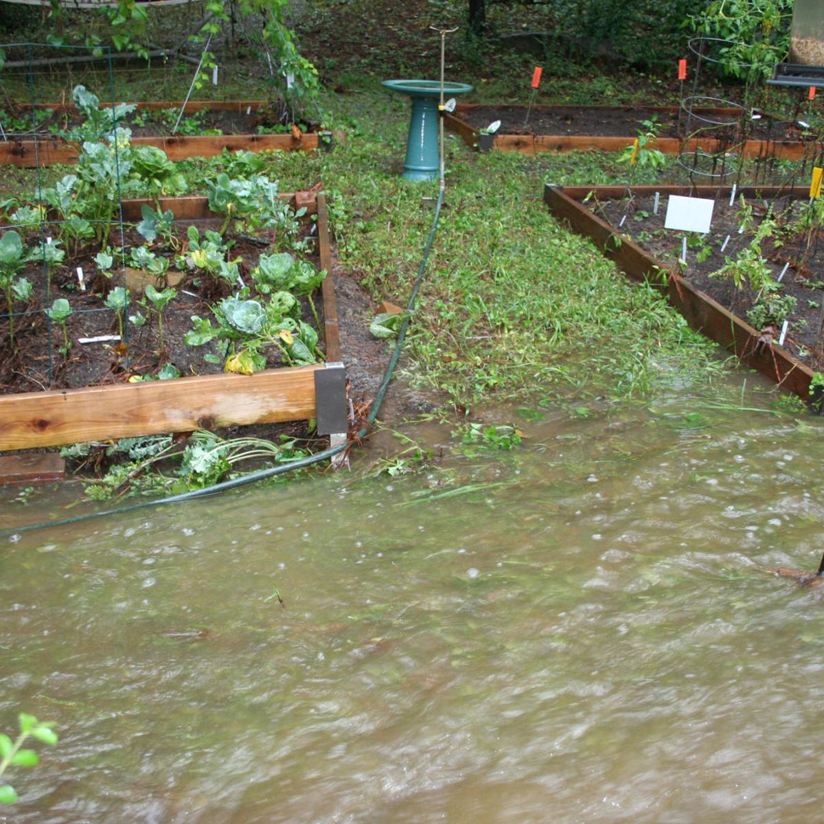 The Aftermath Of A Storm Flooding Can Leave Work To Do With