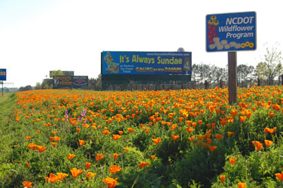 NCDOT: Wildflower Program