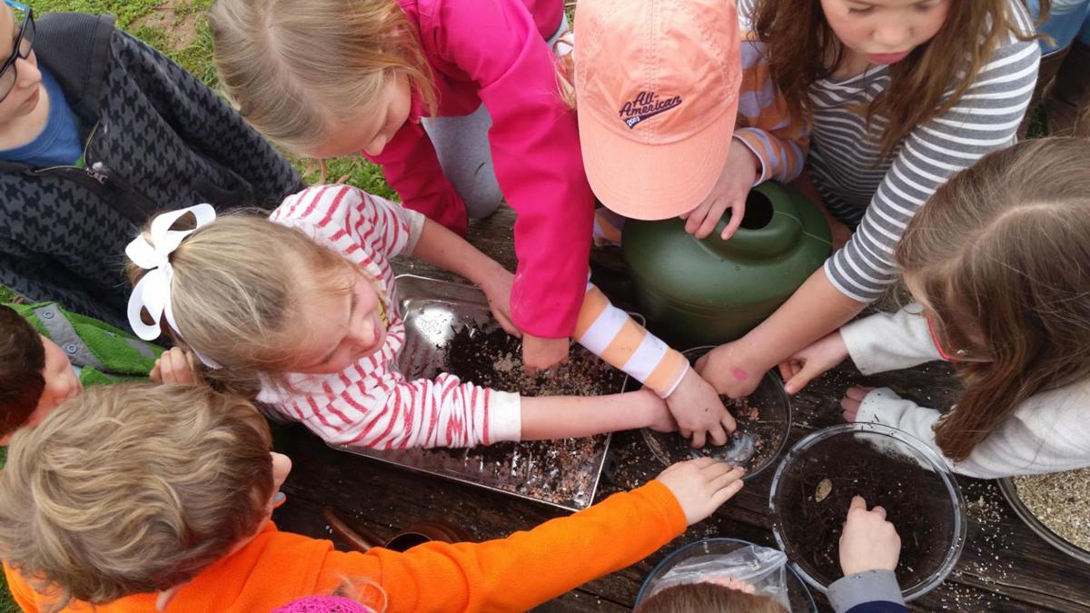Farm-to-school program