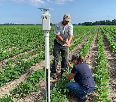 Soil sensors