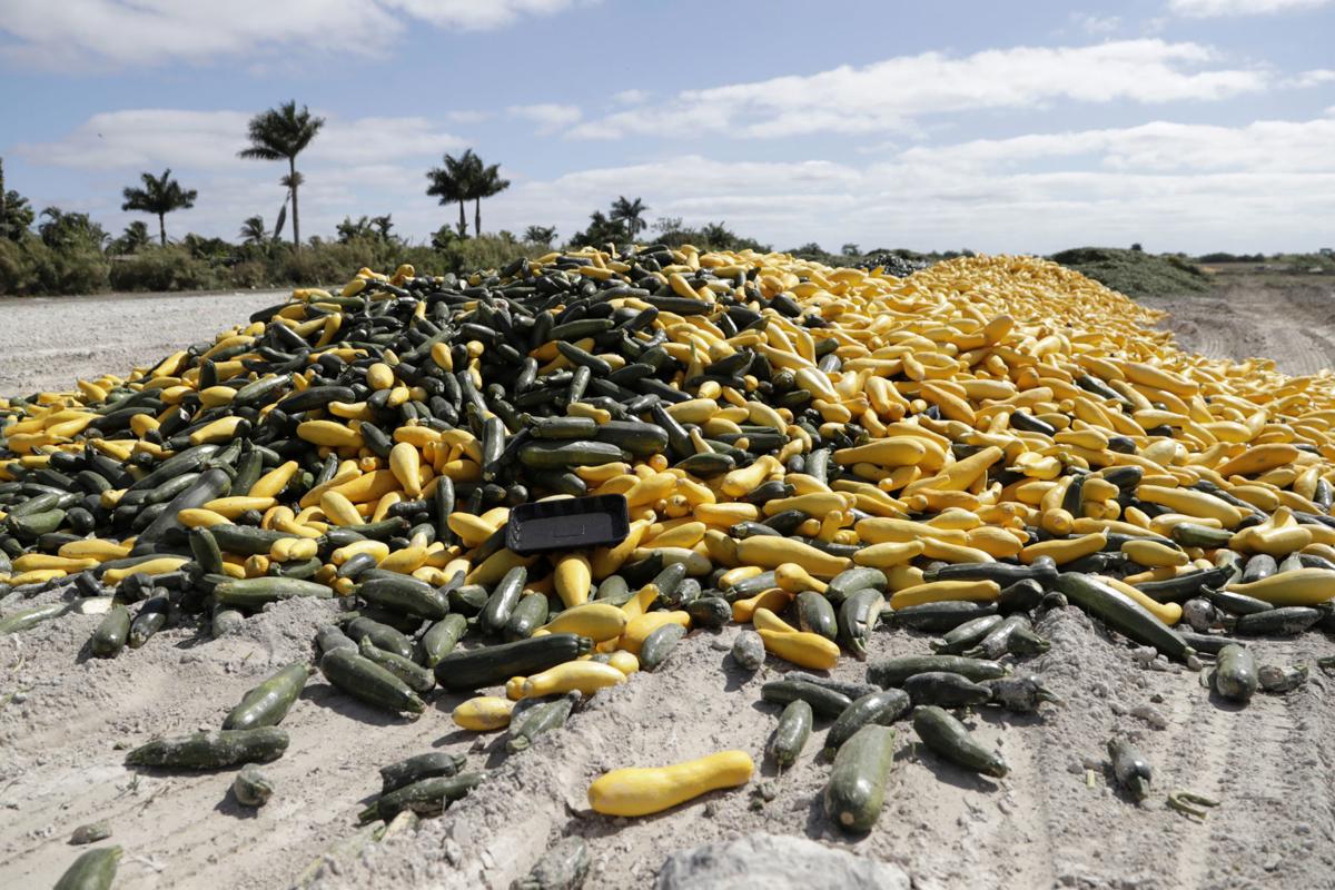 Unexpected virus victim Markets gone, Fla. fruits and veggies going to