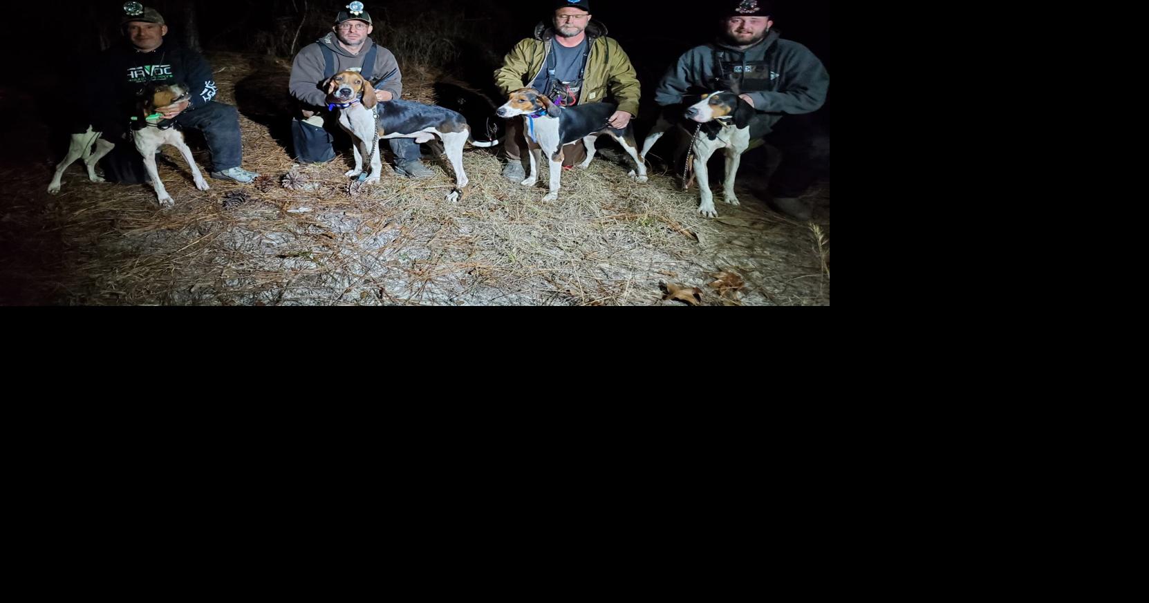 GRAND AMERICAN COON HUNT Carolina Clifford wins championship