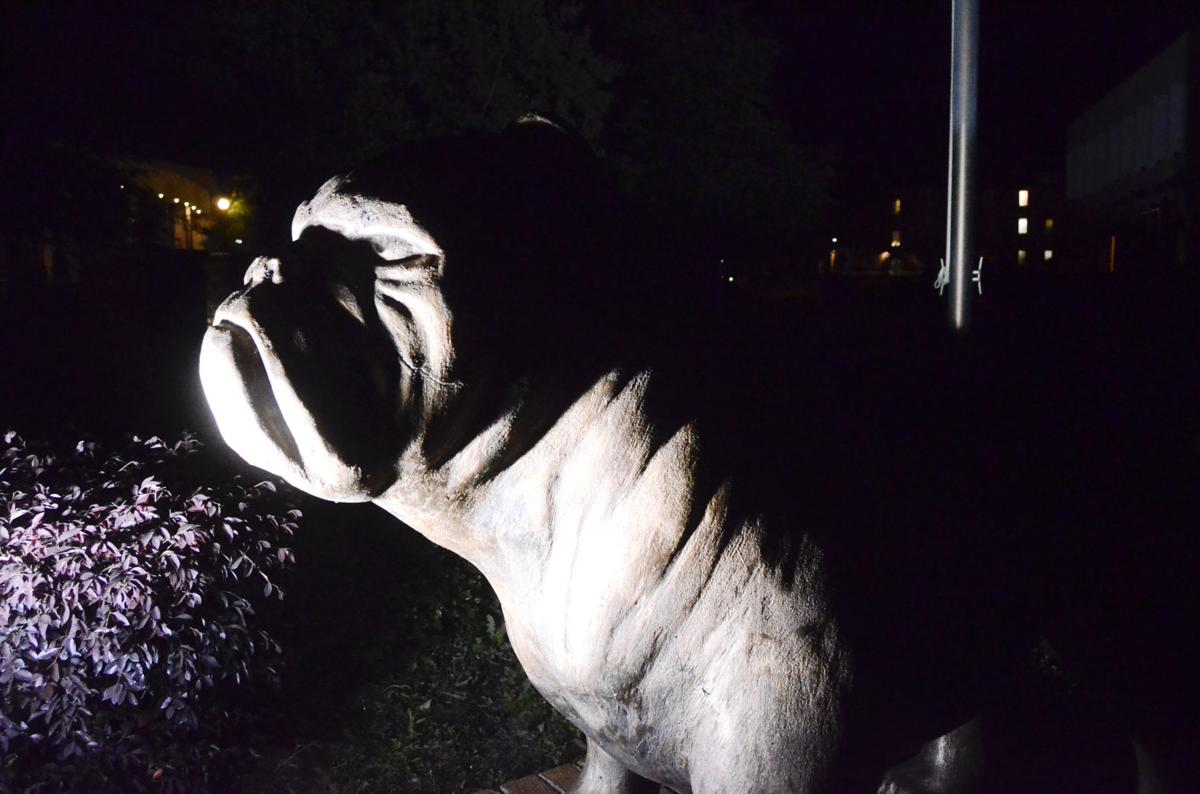 LIBRARY scsu at night bulldog illustration