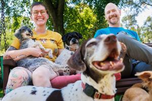 Nebraska couple make their acreage into a sanctuary for senior dogs