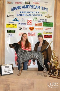 Regal best sale c coonhounds