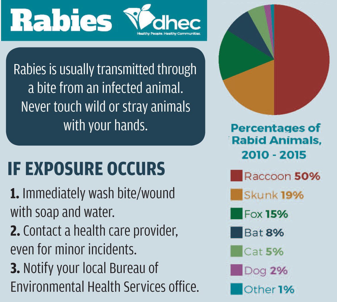 rabies after dog bite