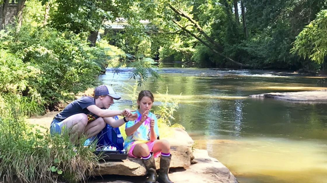 Protecting water quality: S.C. volunteers sought to serve as new scientists - The Times and Democrat
