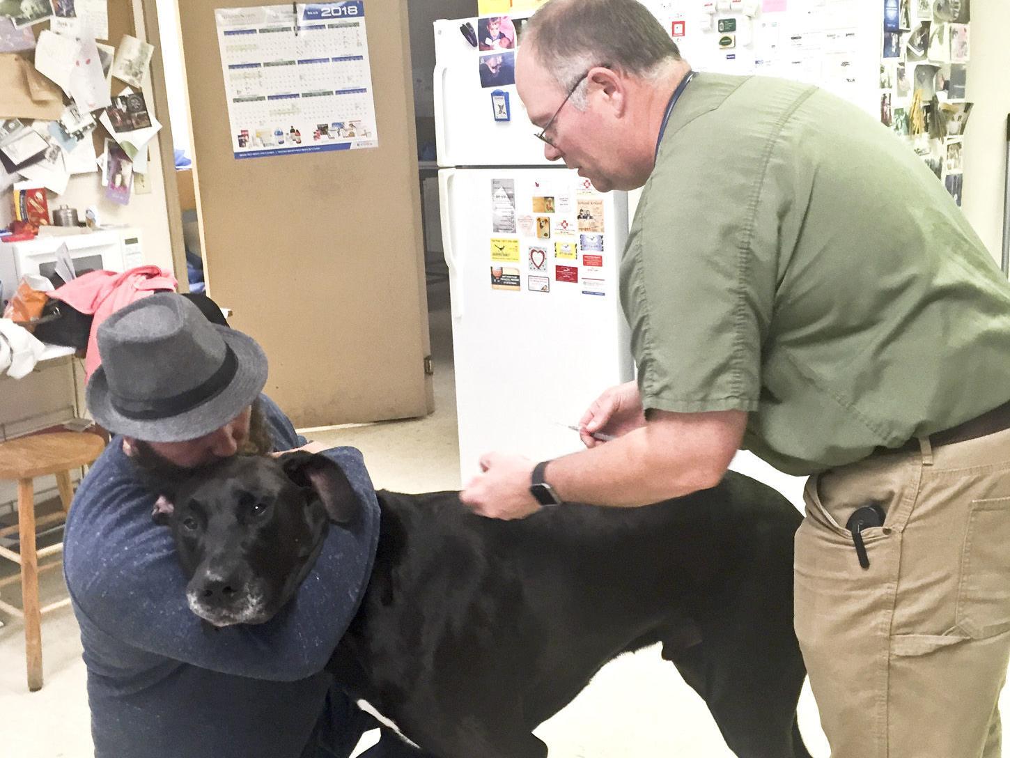 Local Vets To Hold Rabies Vaccination Clinics News Thetandd Com