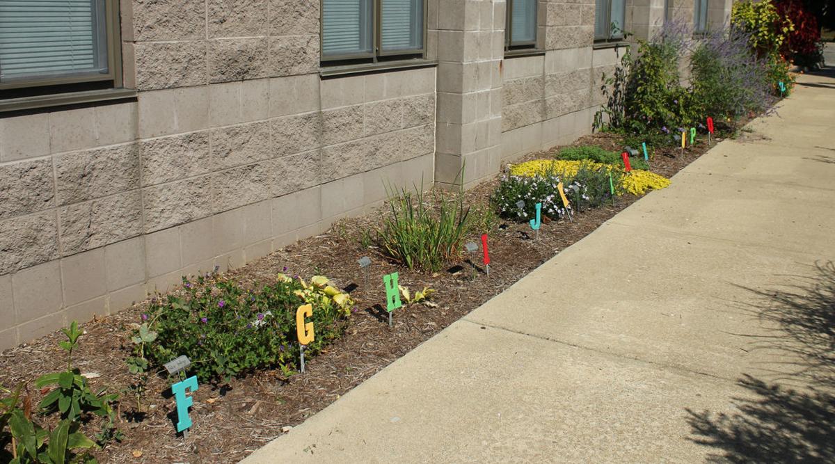 School garden projects: education and exercise | Home ...