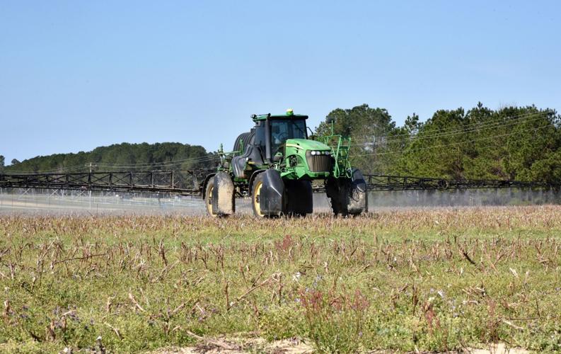 ong-fea-FarmCalhounRow01.jpg