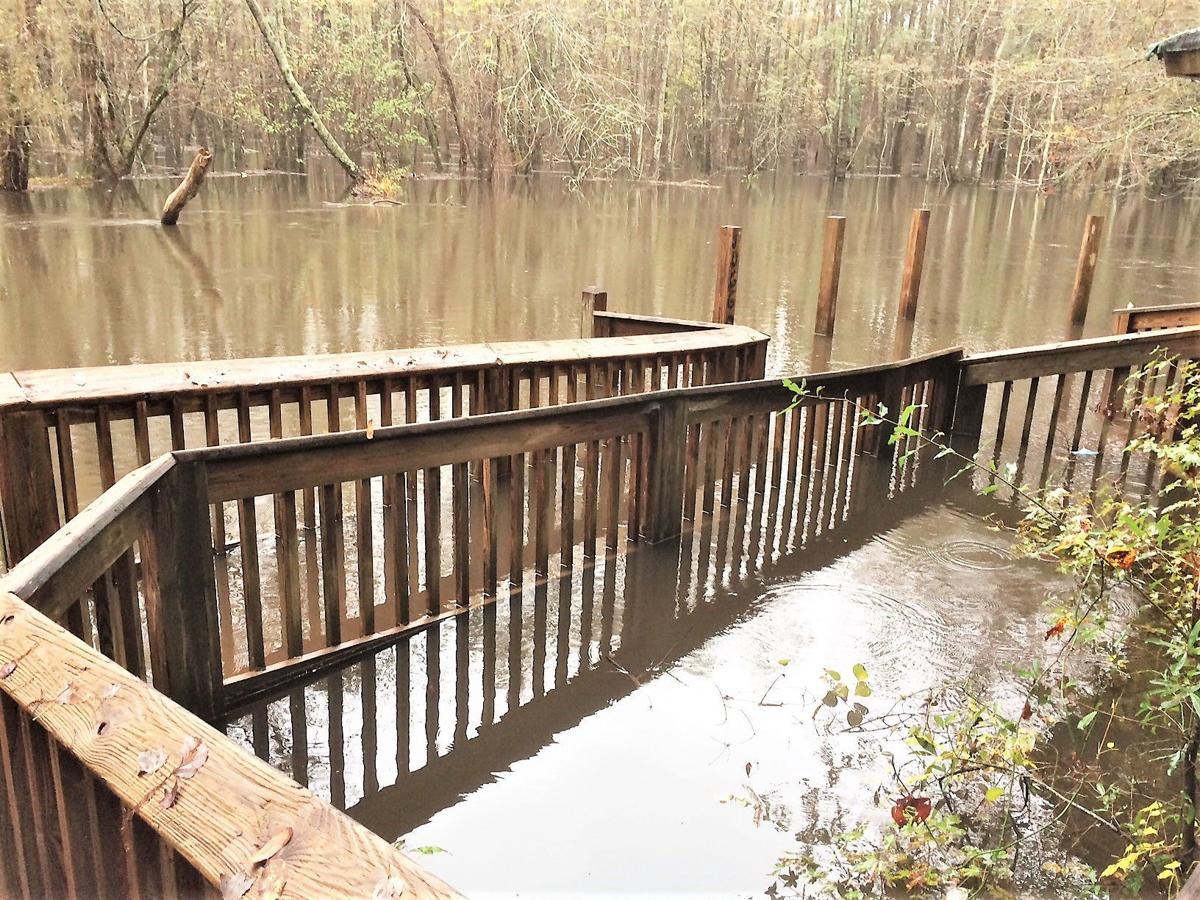 Rivers Rise After Rain Region Soaked But Crops Should Be Ok Local Thetandd Com Rivers Rise After Rain Region Soaked But Crops Should Be Ok Local Thetandd Com
