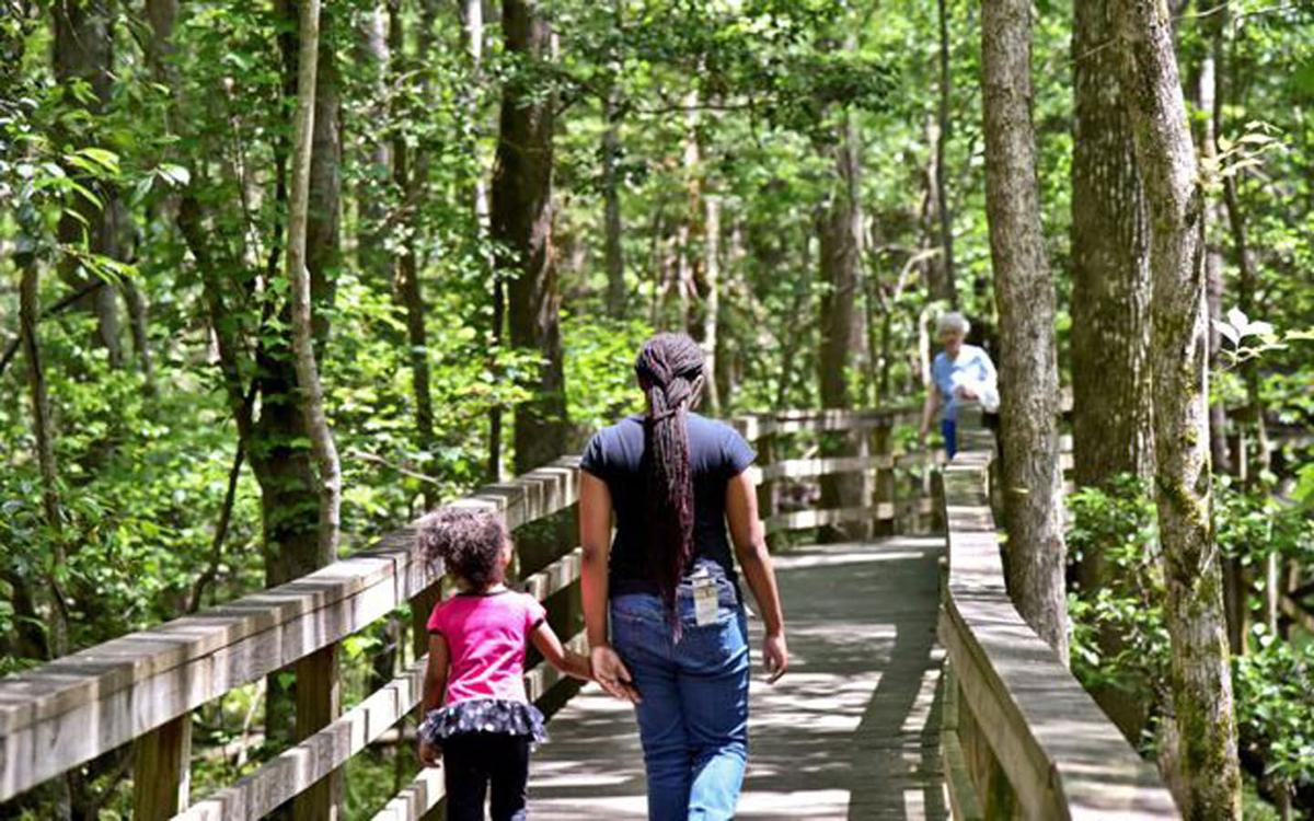 Congaree National Park
