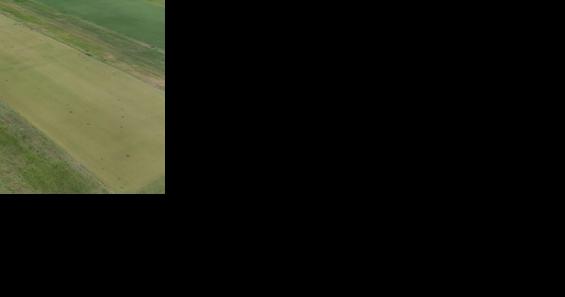 Pee Dee REC announces Turfgrass Field Day - Vimarsana News