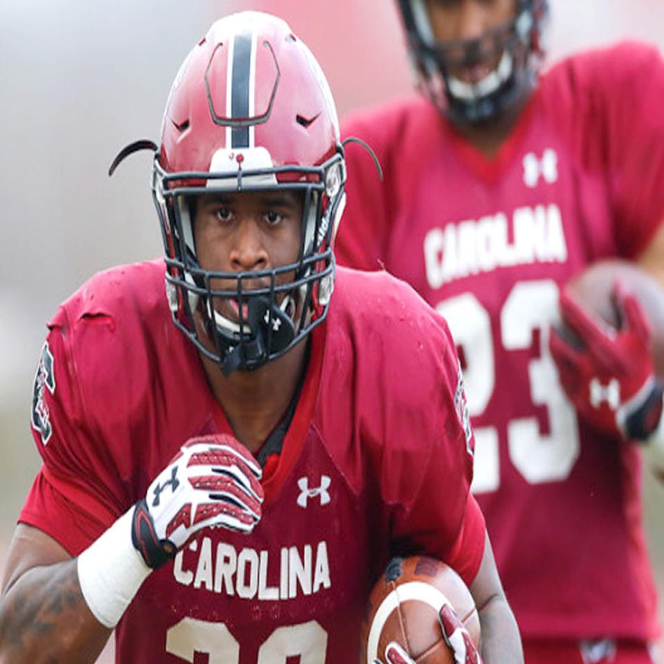 Arkansas Turns To David Williams Sports Thetandd Com