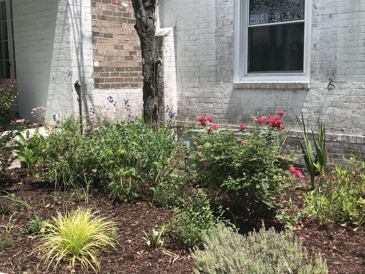 mulching, garden