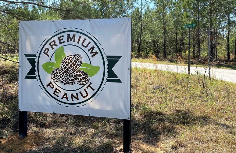 Premium Peanut