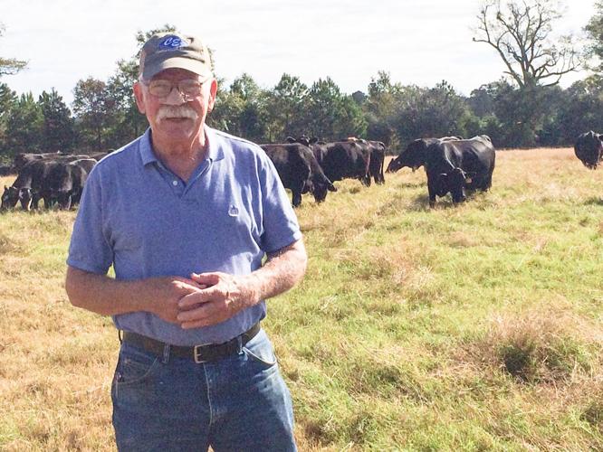 Farm livestock Elmore