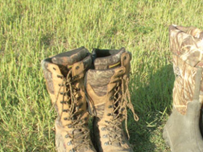 The Latest On Snakebites From Preventing To Treating Sports Thetandd Com