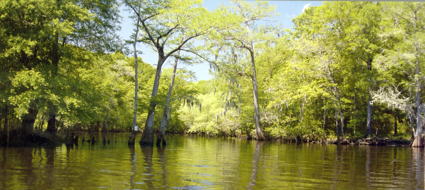 Couple Shares Beauty Of Edisto Through Pictures | Community | Thetandd.com