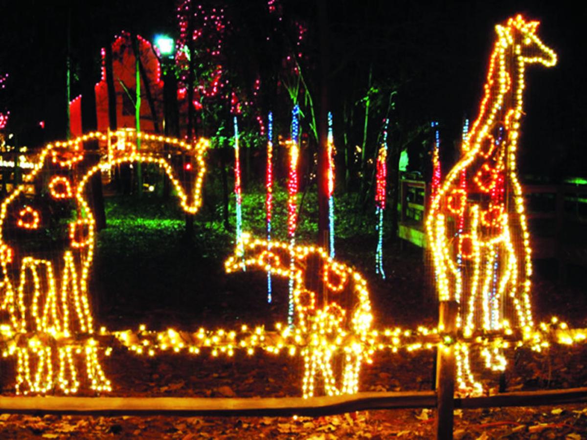 Riverbanks Unwraps Holiday Cheer With Lights Before Christmas Lifestyles Thetandd Com Christmas Lights Riverbanks Zoo 2021