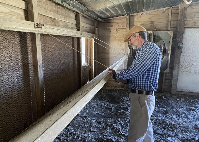 Orangeburg County Poultry