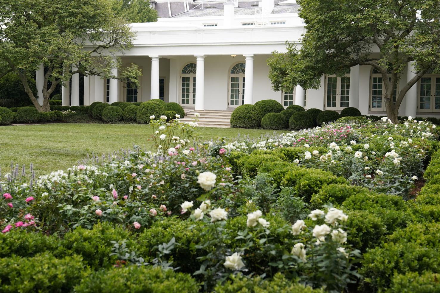 Photos An upclose look at the newly renovated White House Rose Garden