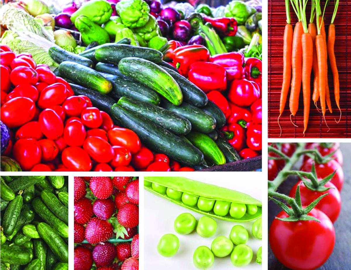 Vegetables, market illustration (copy)