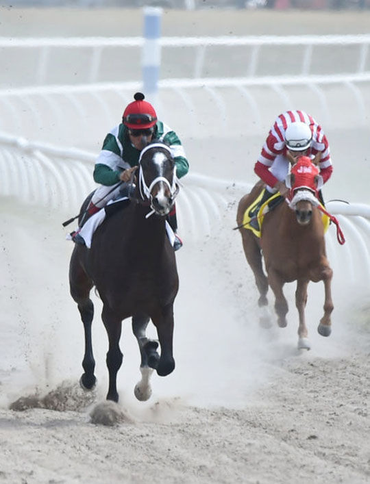 Interest is high for the 57th annual Elloree Trials this Saturday