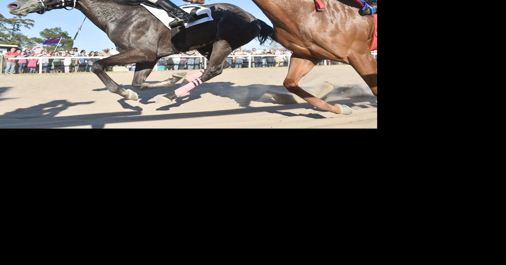 57th annual Elloree Trials enjoys bright, clear spring weather, great