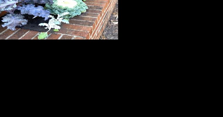 Bamberg Garden Club expanding purpose with group projects - Vimarsana News