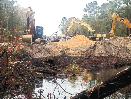 Environmentalists worry potato farm’s plans could change South Edisto