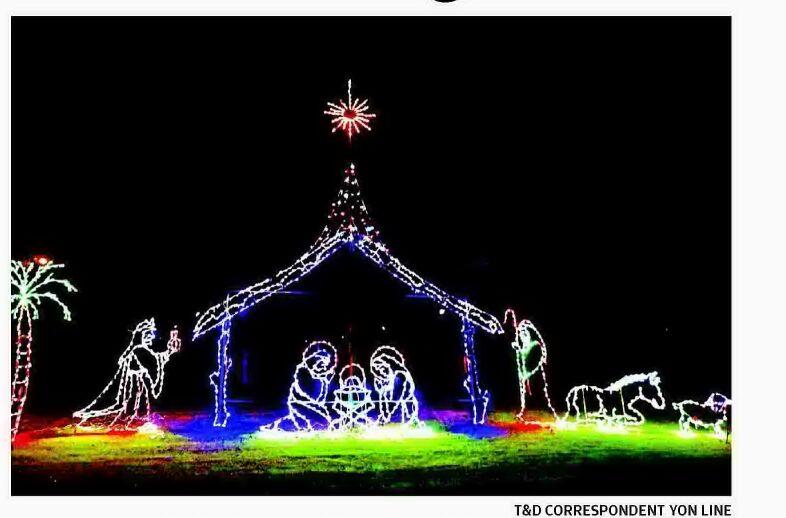 Christmas in the gardens