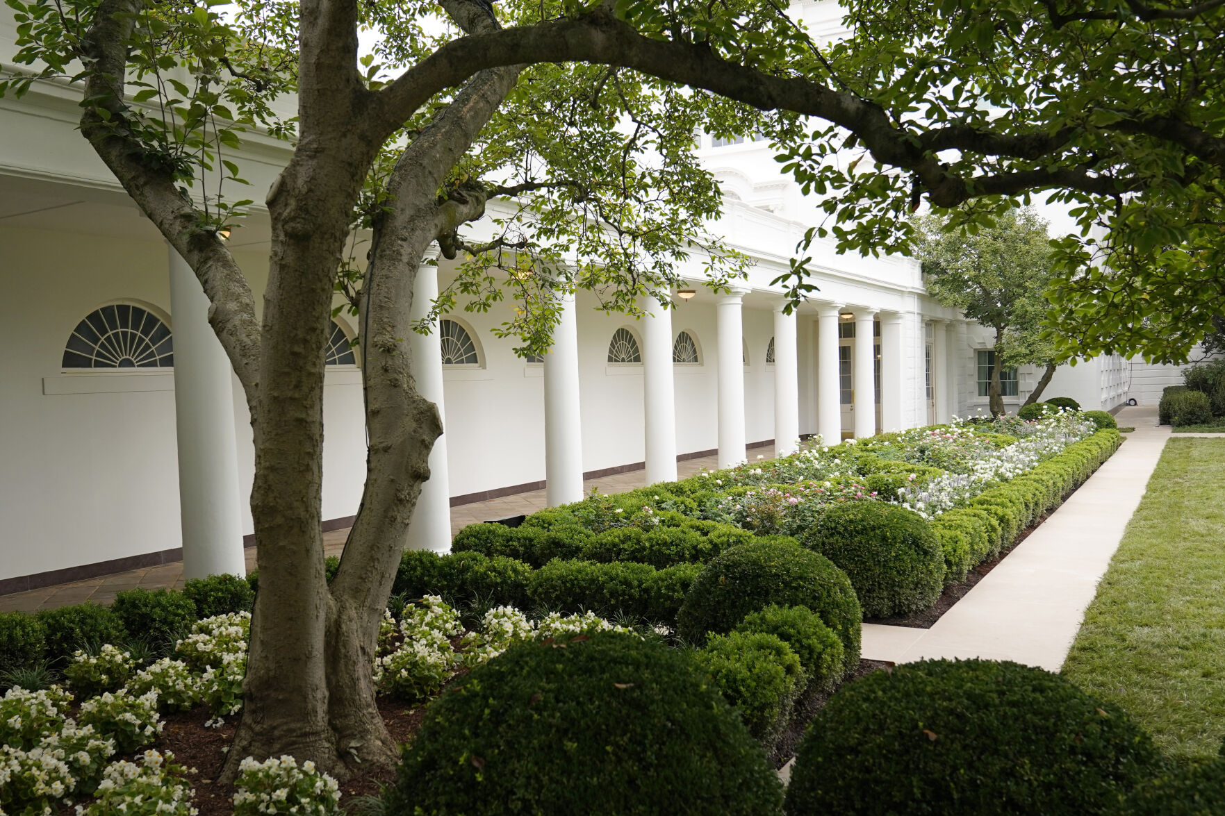 Photos An Up Close Look At The Newly Renovated White House Rose Garden   5f43ea3e2a141.image 