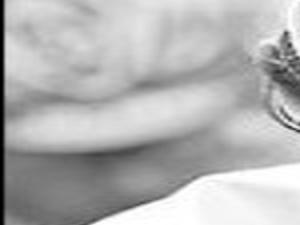 Lance S Diet Innovations Keep Armstrong Lean And Powerful