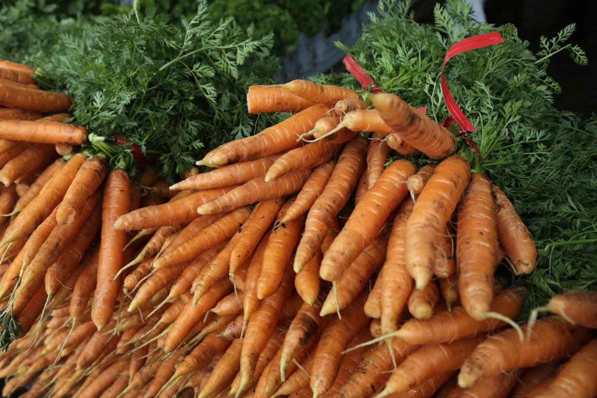 Carrots, illustration