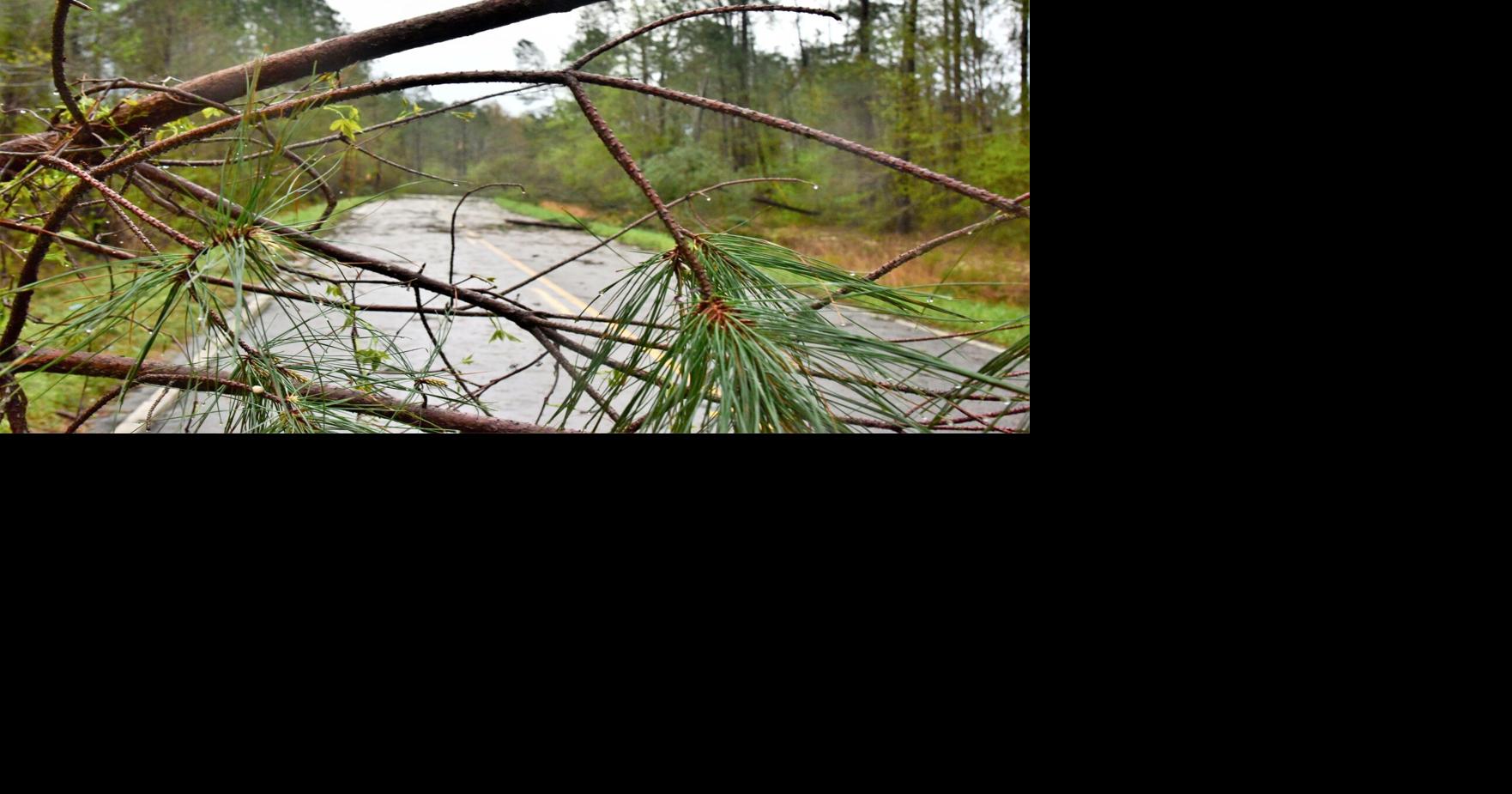 Bamberg, Orangeburg tornadoes reported ; trees snapped, damage caused